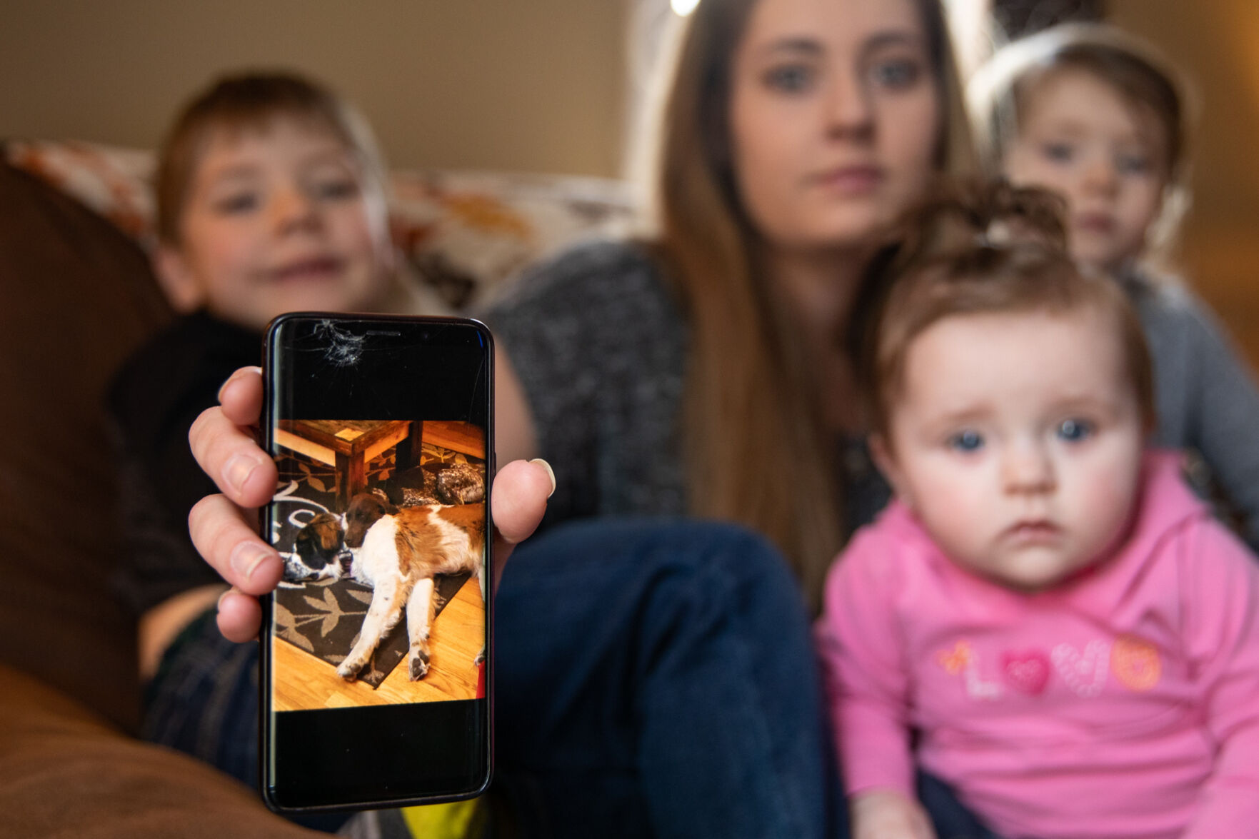 Dog owners want answers